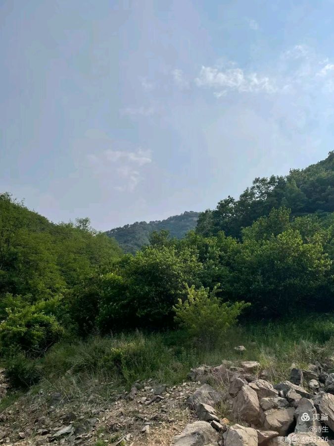 作者：王炳纯《七绝·夏日偶吟》10160期~新京都文艺（图6）