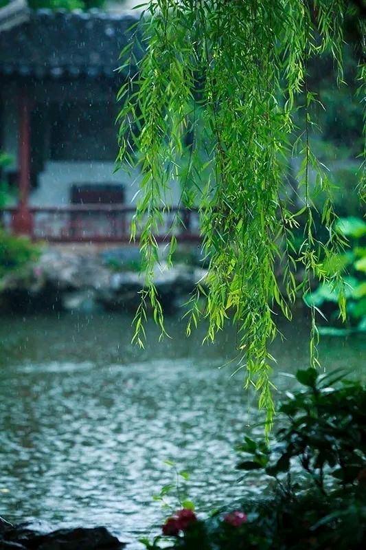 【新山东文学社】《夏之风雨云》作者/书乐 主播/菊心拾雨（图5）