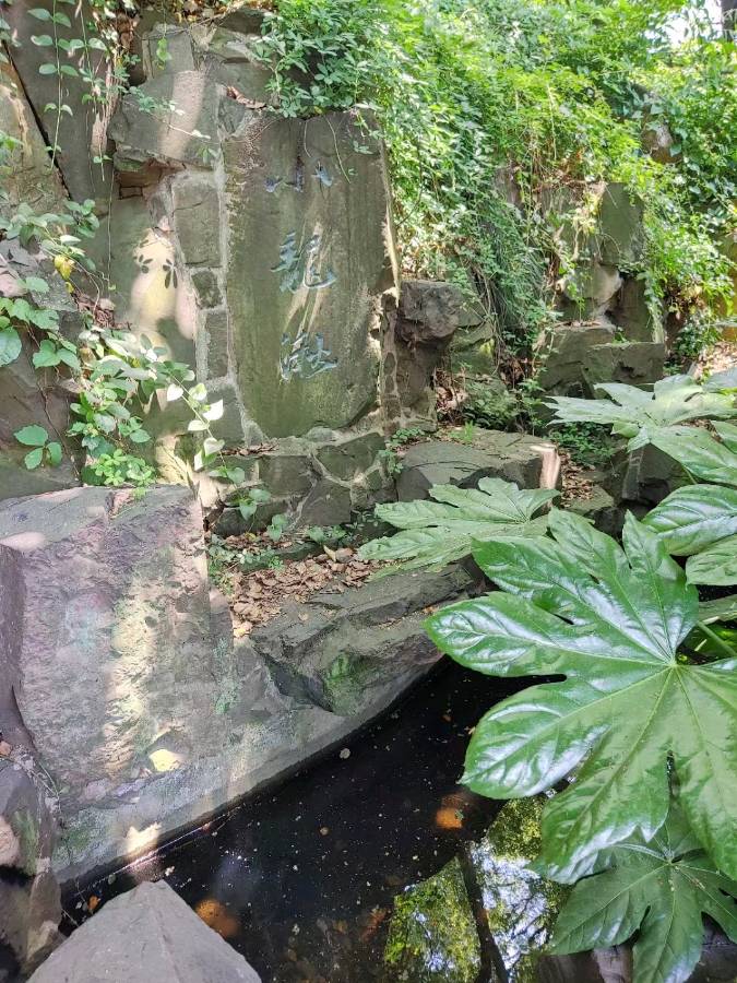 作者：康丕耀《甲辰仲夏游吴中虎丘得十二韵》10162期~新京都文艺（图5）