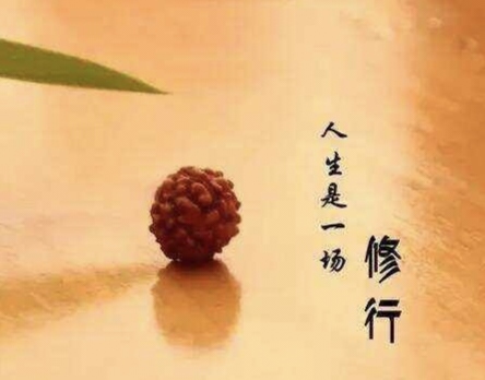金子朗诵《金句》专集之二十；收集：金华(李敬党)；编辑：开心快乐【运河之春】(第164期)（图3）