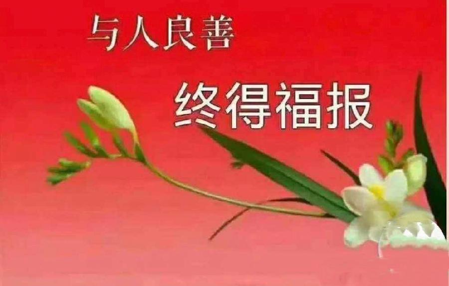 金子朗诵《金句》专集之二十；收集：金华(李敬党)；编辑：开心快乐【运河之春】(第164期)（图4）