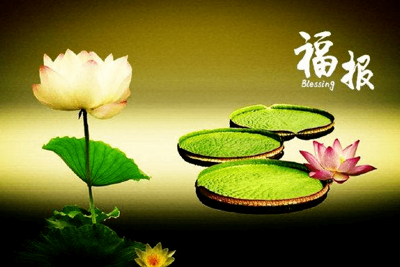 金子朗诵《金句》专集之二十；收集：金华(李敬党)；编辑：开心快乐【运河之春】(第164期)（图9）