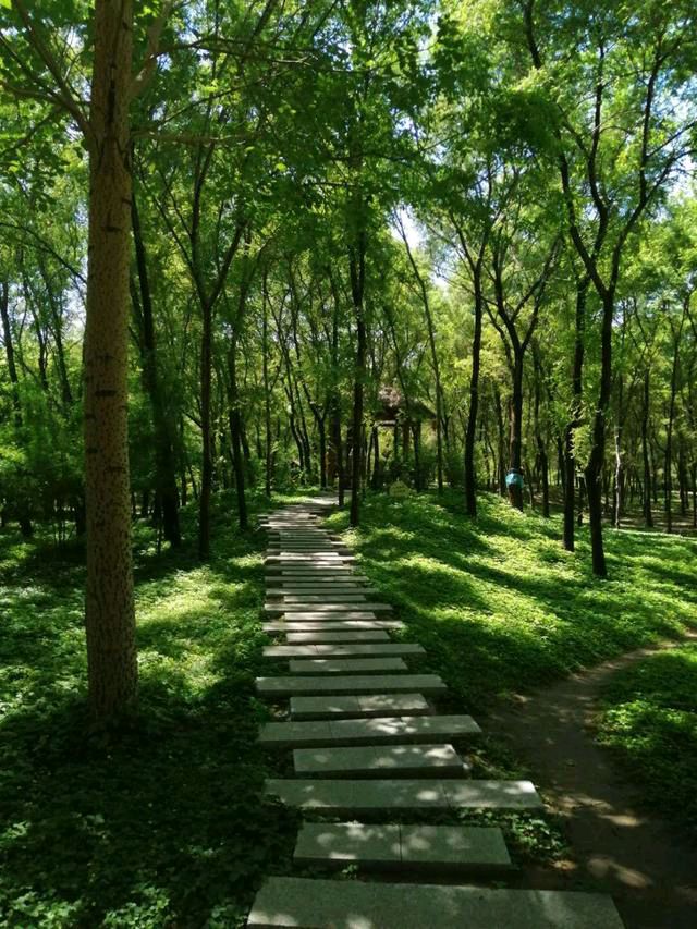 【新山东文学社】《七绝.江滨八咏（外八首）》作者/朱守平 主播/红叶（图4）
