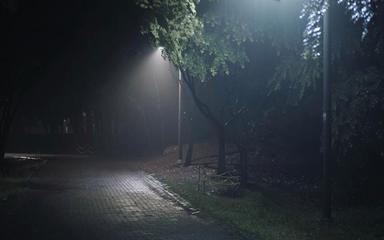 《理真诗社有奖征文》作者:各诗社群友（图31）