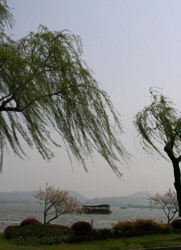 《理真诗社有奖征文》作者:各诗社群友（图48）
