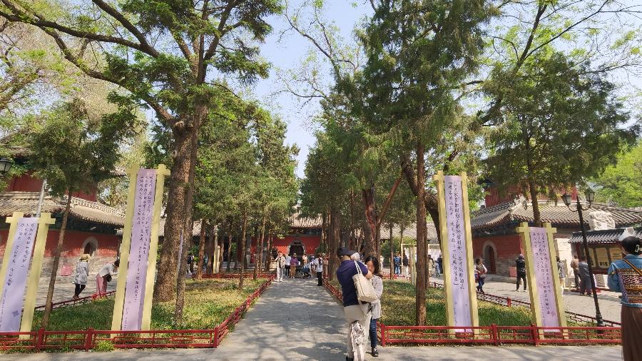【逛北京.游京郊】(之一百二十三)千年古刹~法源寺游记(3)作者|天宫玉兔|海外头条(图8)