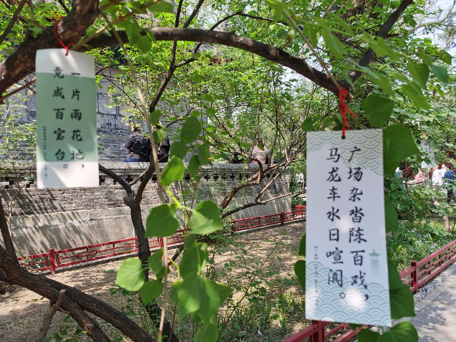 【逛北京.游京郊】(之一百二十三)千年古刹~法源寺游记(3)作者|天宫玉兔|海外头条(图14)