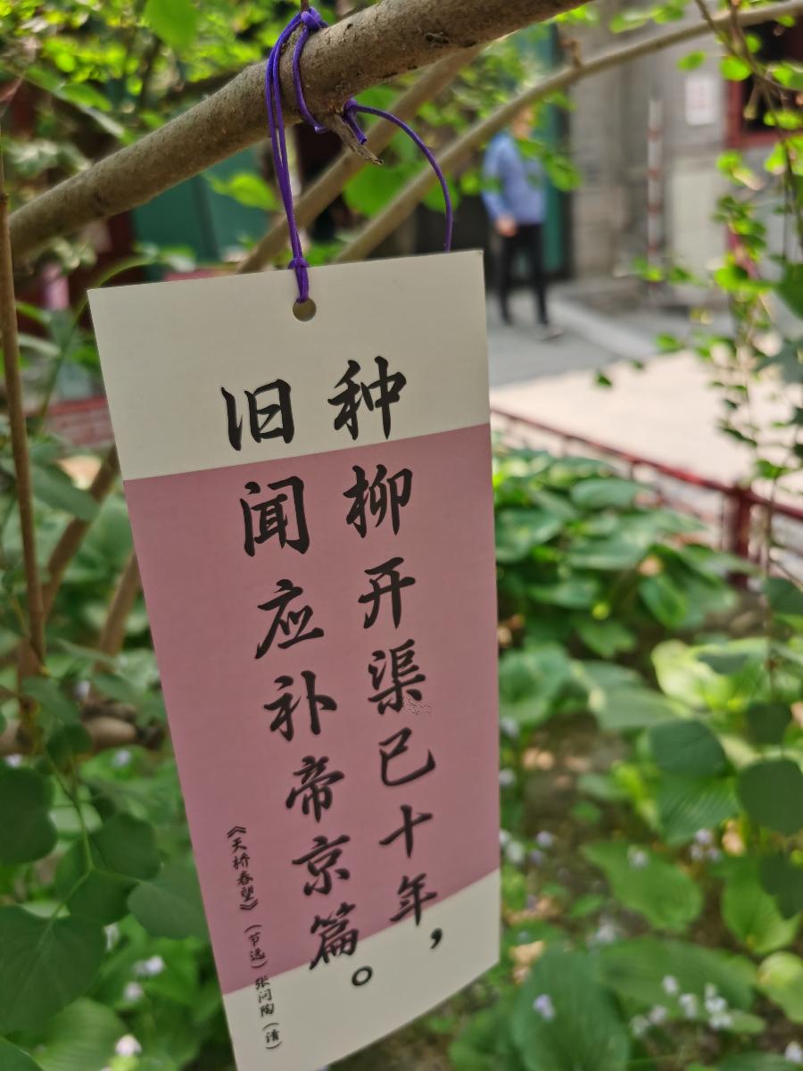 【逛北京.游京郊】(之一百二十三)千年古刹~法源寺游记(3)作者|天宫玉兔|海外头条(图17)