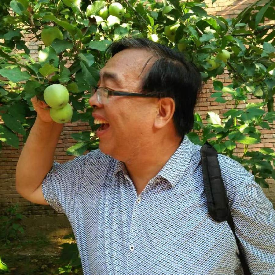 走出悲伤（外一首）诗||夏峻（图16）