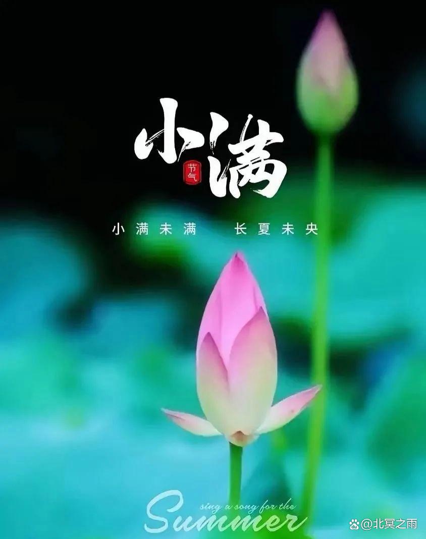 【国风燕赵诗社】北京优秀诗人张玉春老师诗词专辑与您共享！（图10）