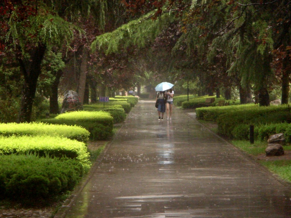 【荣耀中国】七律：小满文/秋雨（图3）