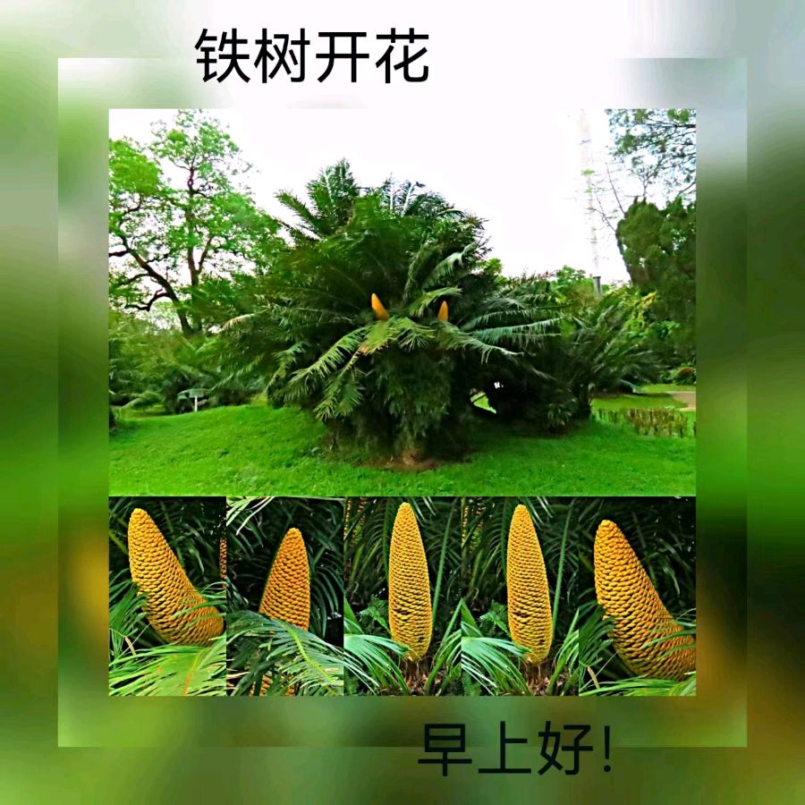 联机全球发布马洪武作品欣赏（图32）