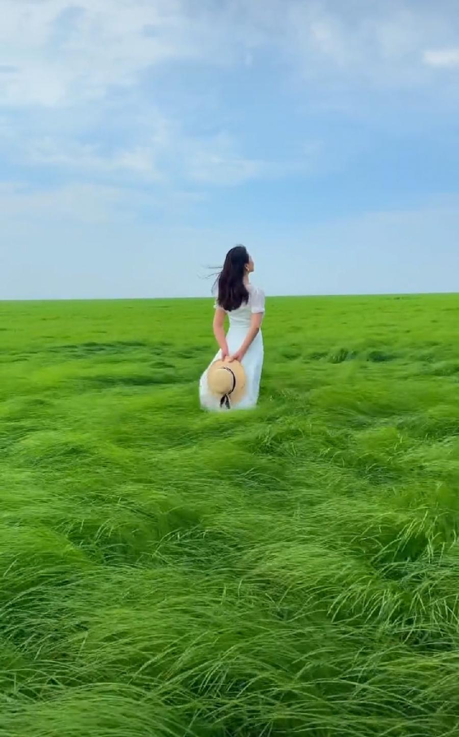 排律-夏思～诗||杨景儒（图13）