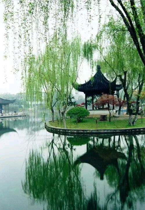 【新山东文学社】《西江月二阕.夏日小景（外六首）》作者/王建群 主播/竹韵丽影（图4）