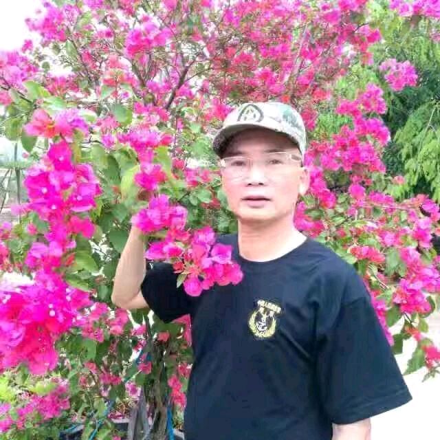 推荐丨辉叔 七绝《万物初盈小满来》十二首（图4）