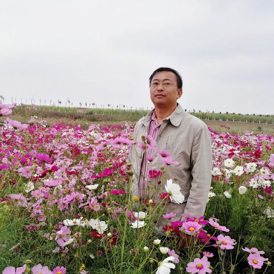 【六一美诗赏析】儿童节感怀（外两首）文/李冠群（图6）