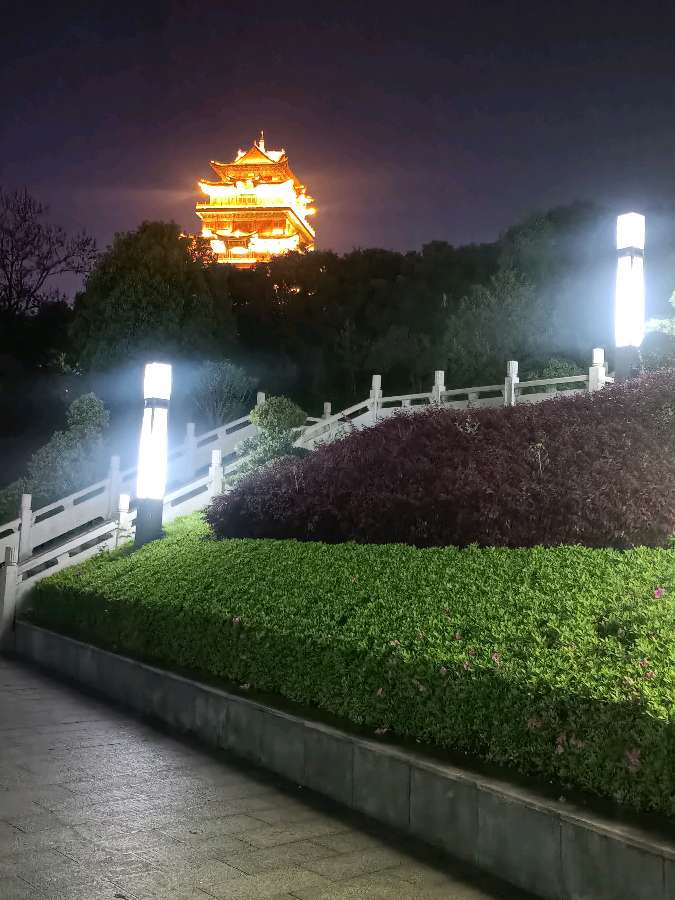 自由体《心有阳光》作者/郑金波（图2）