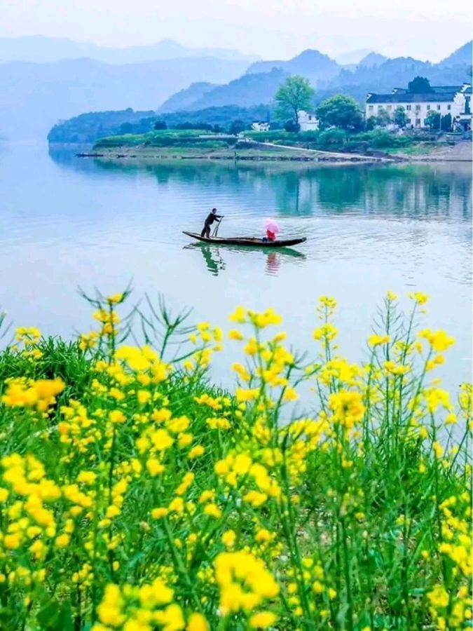 欣赏春晓老师词三首（图7）