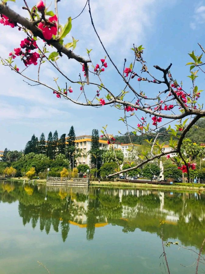 欣赏春晓老师词三首（图3）
