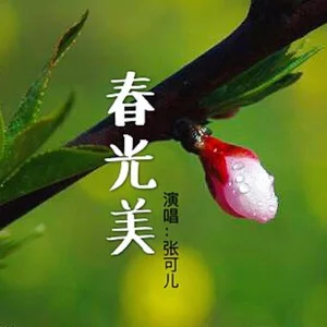 欣赏春晓老师词三首（图2）