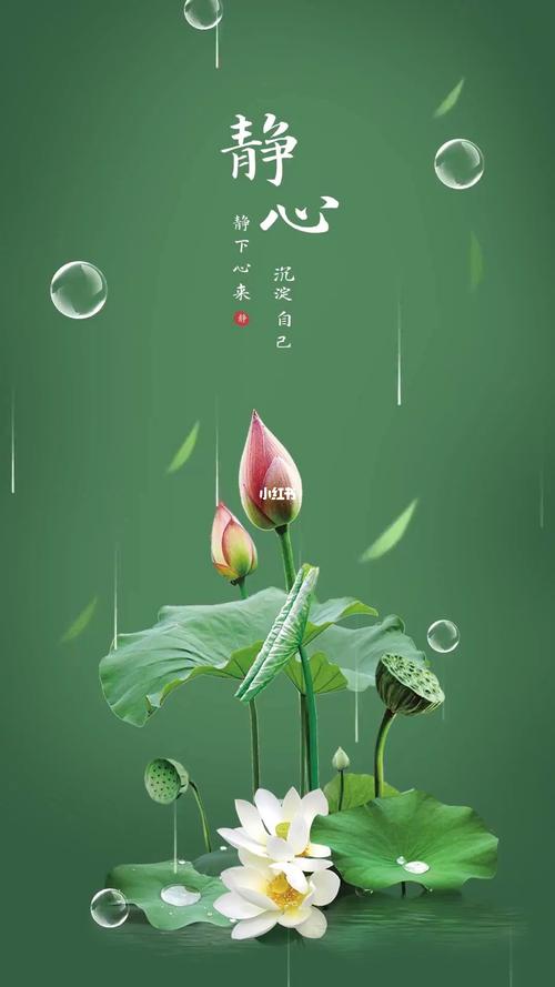 【原创】三木秉凤散文诗选 1148《芙蓉江上娇，夜香云外飘》（图5）