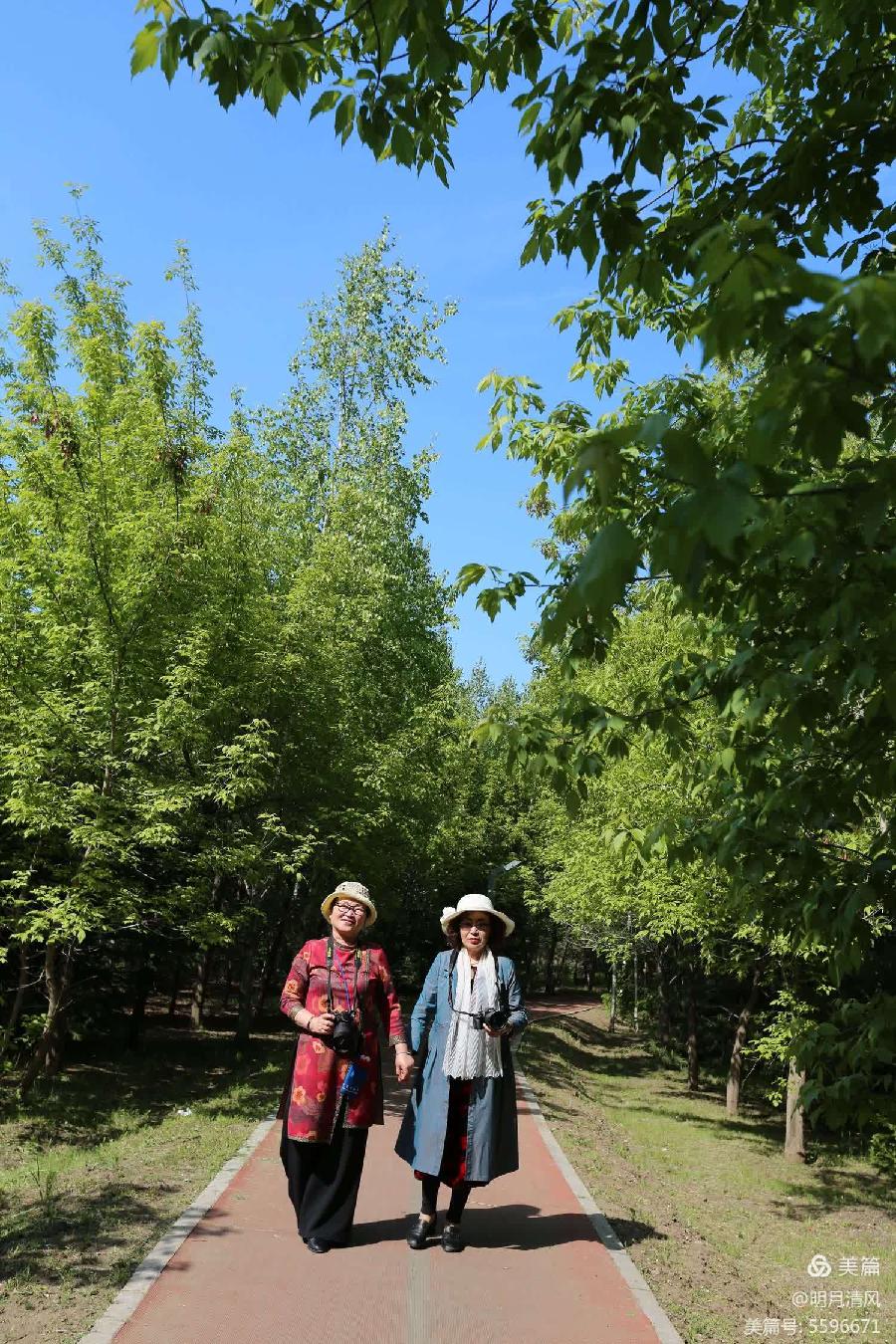 【摄影】清风明月:绥化植物园一日游/中华诗艺社黑龙江分社推荐（图36）