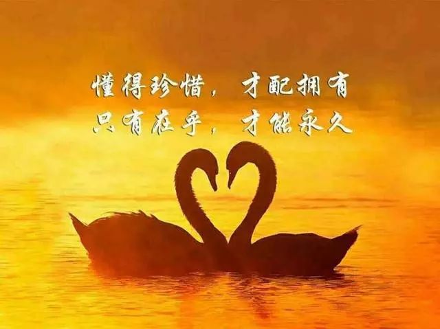 《珍惜》作者:东方即白 配乐:《诗画音乐》 [中国现代诗歌文化传媒]（图5）