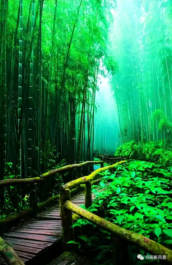 荐赏: 四月梨花(外二首)// 文/ 哈生寿(青海)//《诗耕》征稿//都市头条(图4)