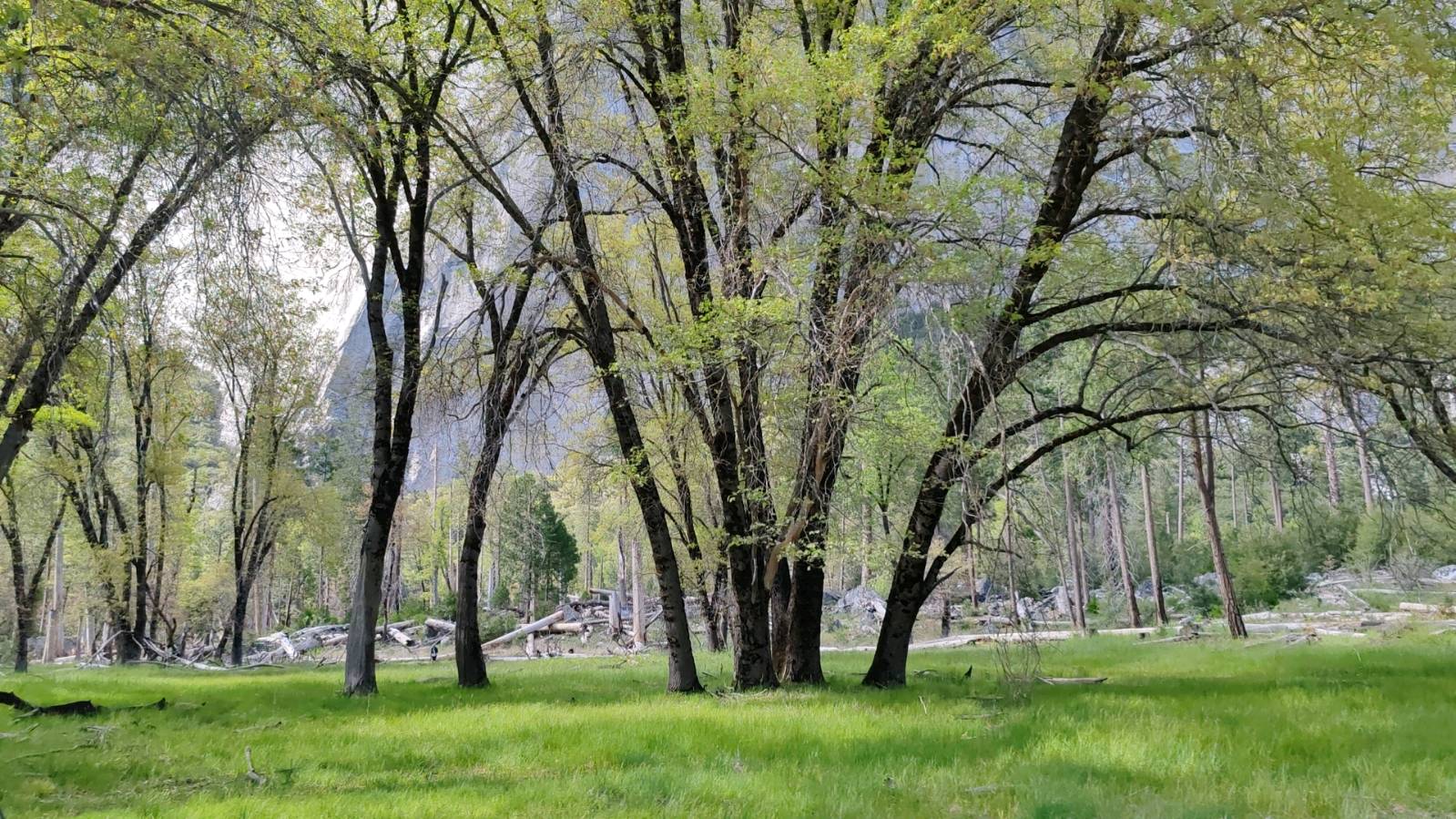 《松岩飞瀑》文/安曼（图10）