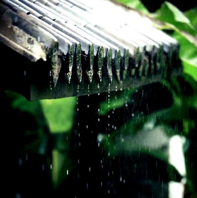 《山馆听雨》作者:蕉雨亭主【主播:悠闲】【桃源国际诗歌文化传媒】用声音传递温暖以诵读致敬人生♬（图9）