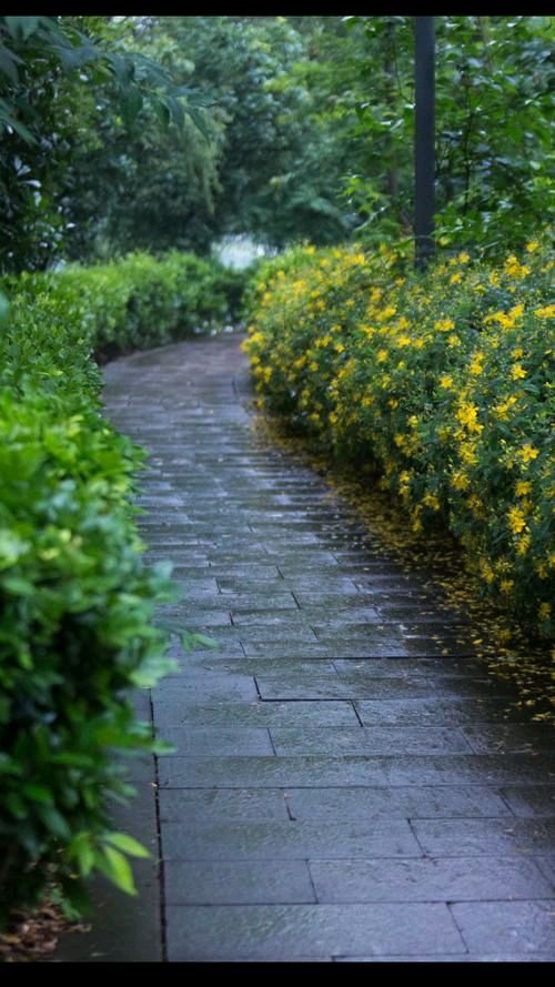 《初夏的记忆》作者:芦国柱【主播:丹桂】【桃源国际诗歌文化传媒】用声音传递温暖以诵读致敬人生♬（图8）