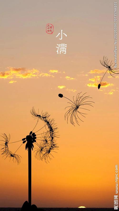 《小满》作者:风清【主播:丹桂】【桃源国际诗歌文化传媒】用声音传递温暖以诵读致敬人生♬（图9）