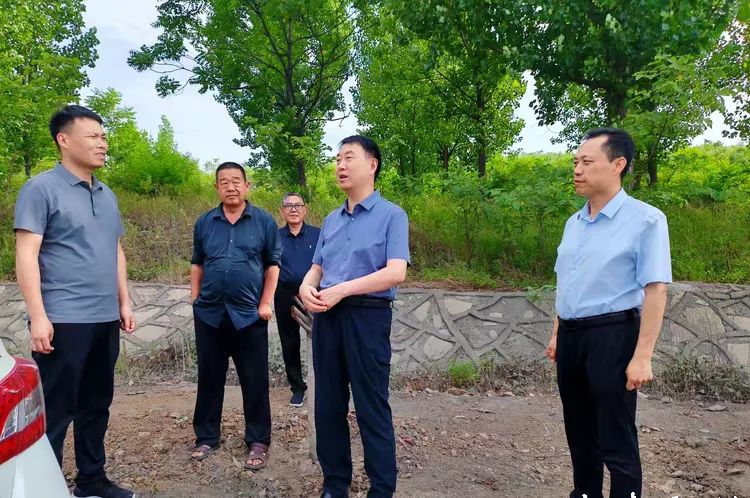 宝丰县交通运输局全面整治路域环境，提升群众幸福感与获得感
