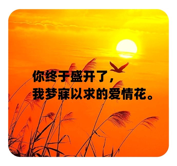 文化之魂，人性之光 ——文化的四重境界（图2）