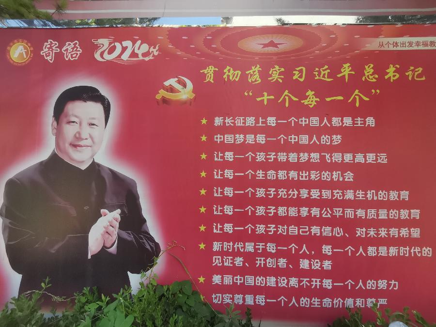 童本大教育——丰湖教育线上论坛(4)纪实(图3)
