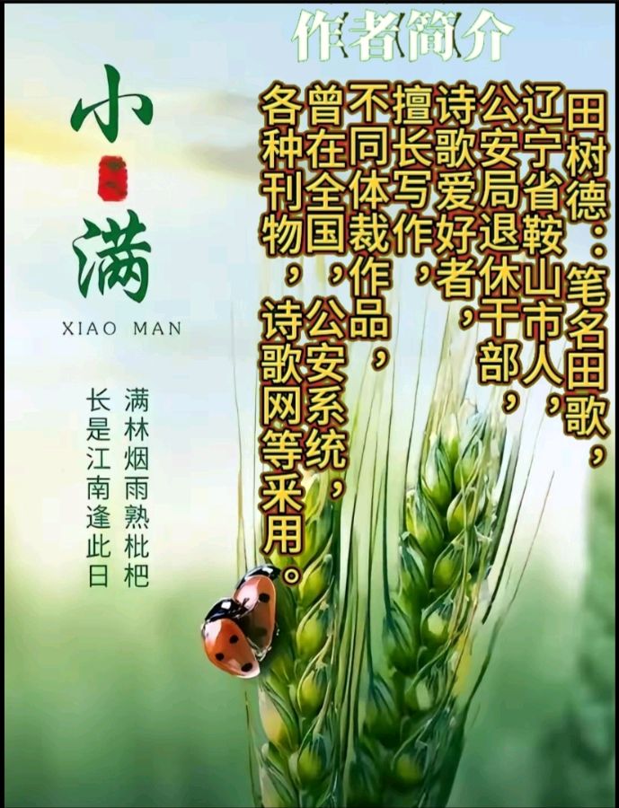 《悦依》作者:田歌 配乐:《诗画音乐》 [中国现代诗歌文化传媒]（图7）