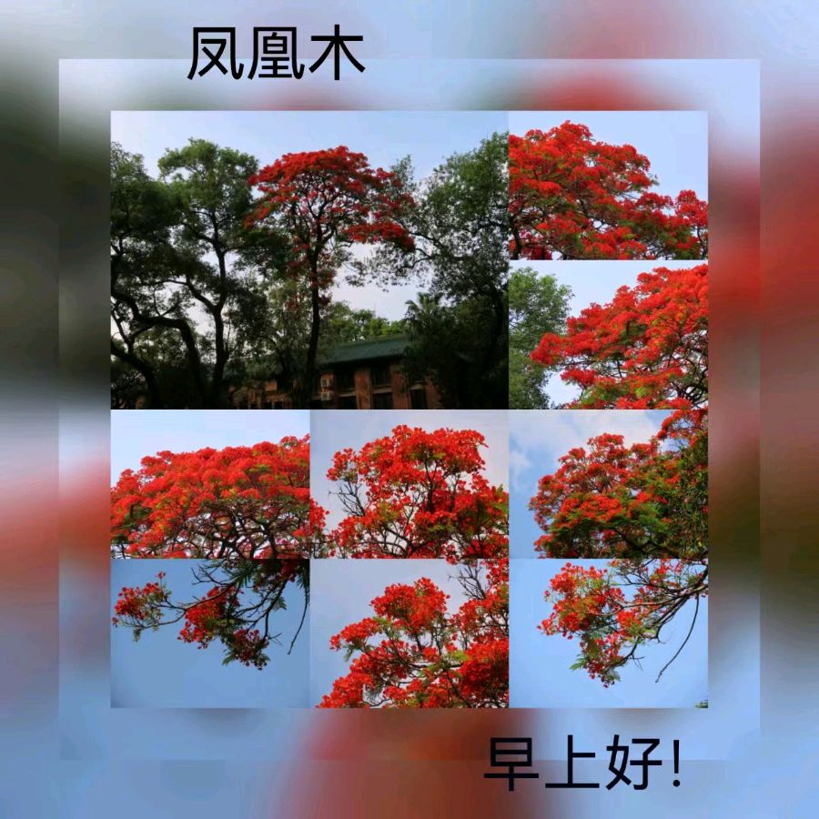 联机全球发布马洪武作品欣赏（图26）