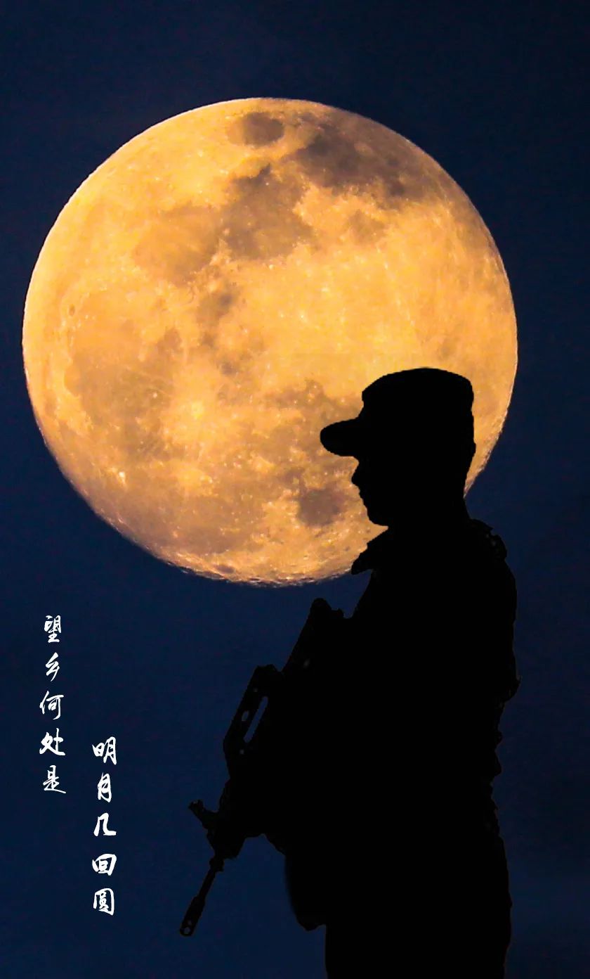踏莎行-日（组合）词||王金廷（图19）