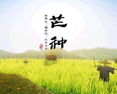 芒种有寄金夜（兰州）（图3）