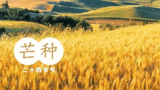 【诗词鉴赏】古风 芒种（外五首）作者/杨忠昌（图4）