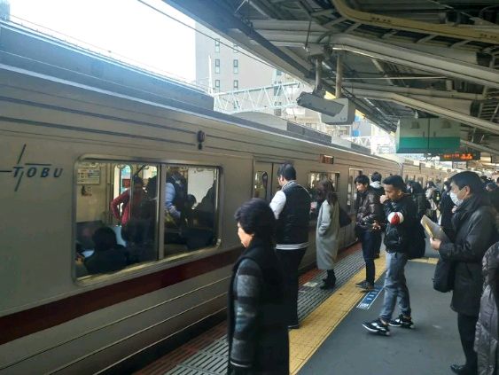 日本游记/一句话说不完的日本人 作者/张铭（图7）