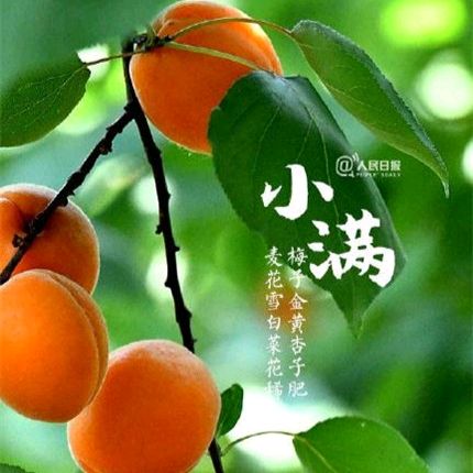 《许峰诗歌研究院》《名家名篇》社长、总编联合推荐著名书法家白勇先生近期诗书雅赏【总第九十六期】（图4）