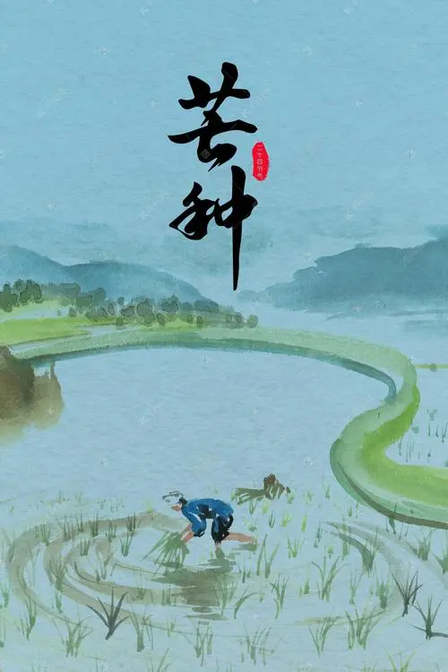 《芒种谣》作者/董新有（图4）
