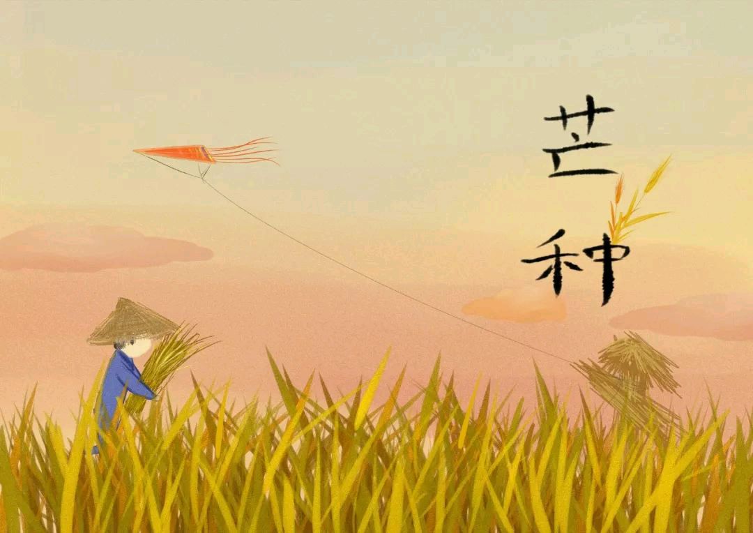 话说＂芒种＂七首 文／王铁忠（图4）