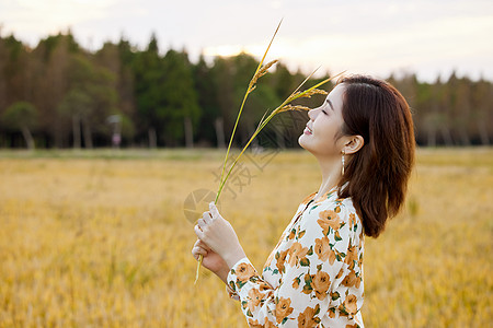 【滨州头条美文(芒种)专集(二)】芒种节临展画屏(图8)