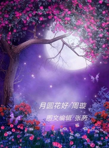 【小芹朗诵厅】作者/泉水 诗二首 主播/赵淑芹（图3）