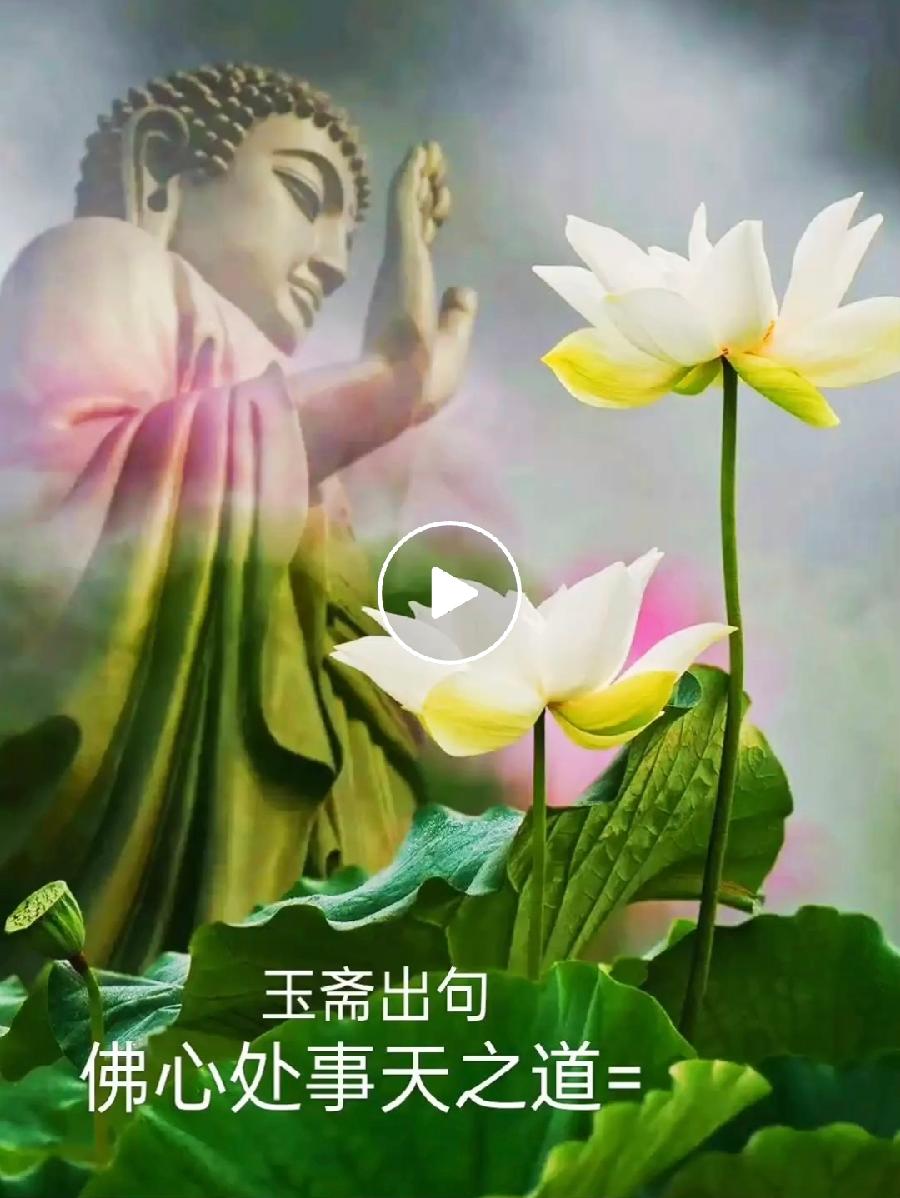 【都市头条向幸福出发编辑部】第11596期 云霞群诗联园地 87（总编 刘玉斋）