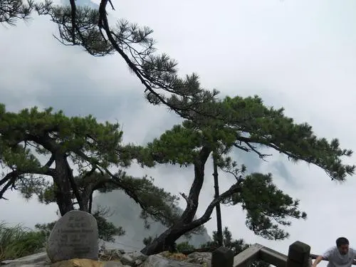 【新山东文学社】《上庐山（外二首）》作者/书乐 主播/苏宁（图8）