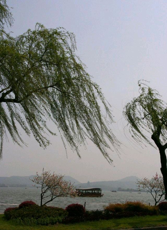 【新山东文学社】《懂（外一首）》作者/山佳 主播/竹林听雨（图3）
