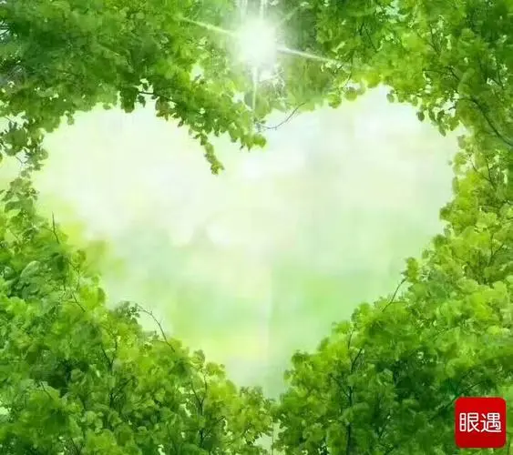 【新山东文学社】《懂（外一首）》作者/山佳 主播/竹林听雨（图8）